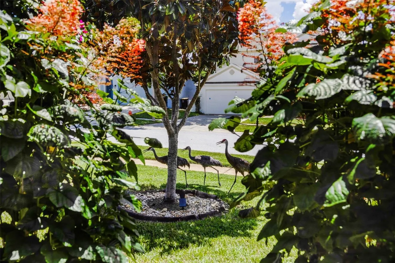 Slide show image of the Orlando Florida Home for Sale 59